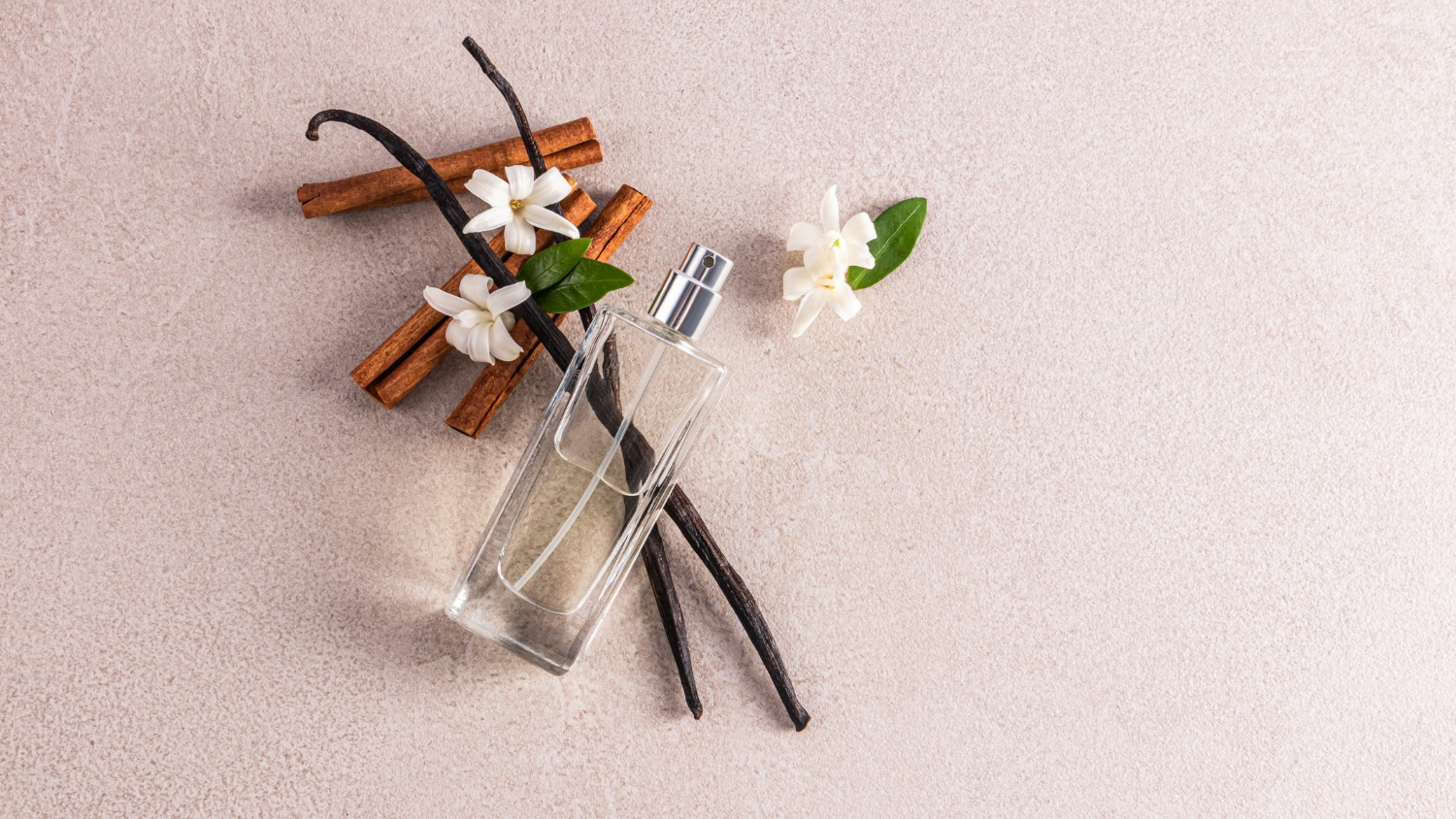 Wrap Yourself in Warmth: The Best Vanilla Scents for Fall 2025